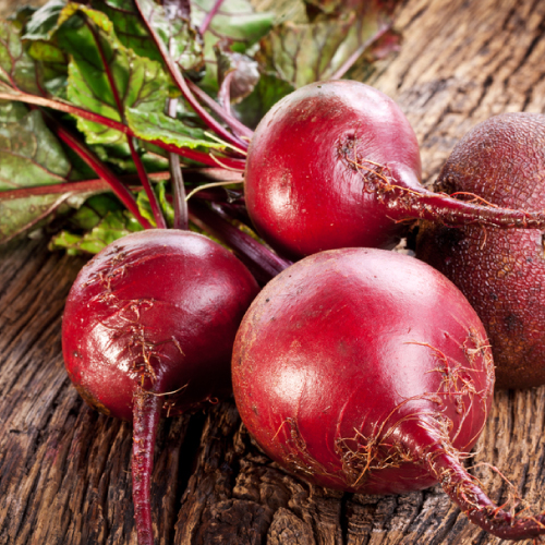 バイオエコリア